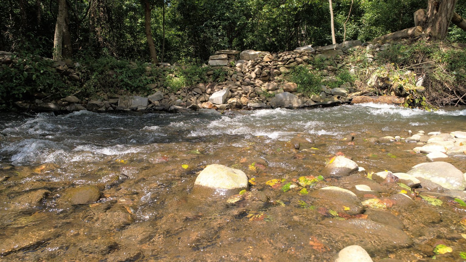 Newport Vacation Rental