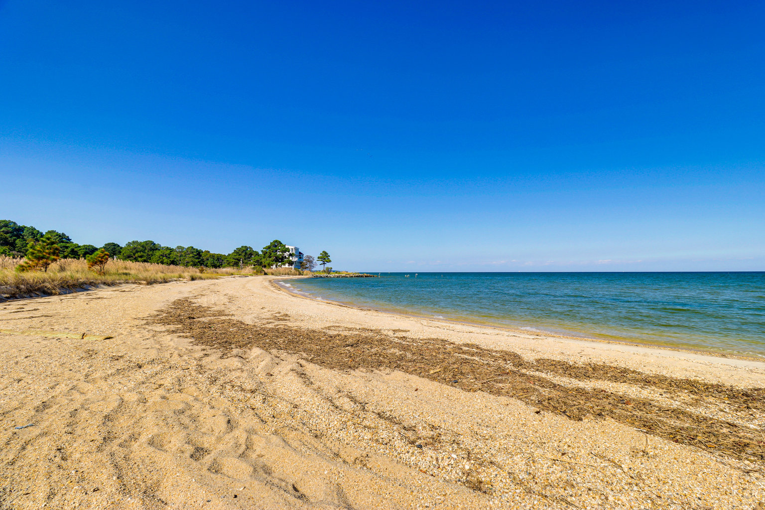 Scotland Vacation Rental