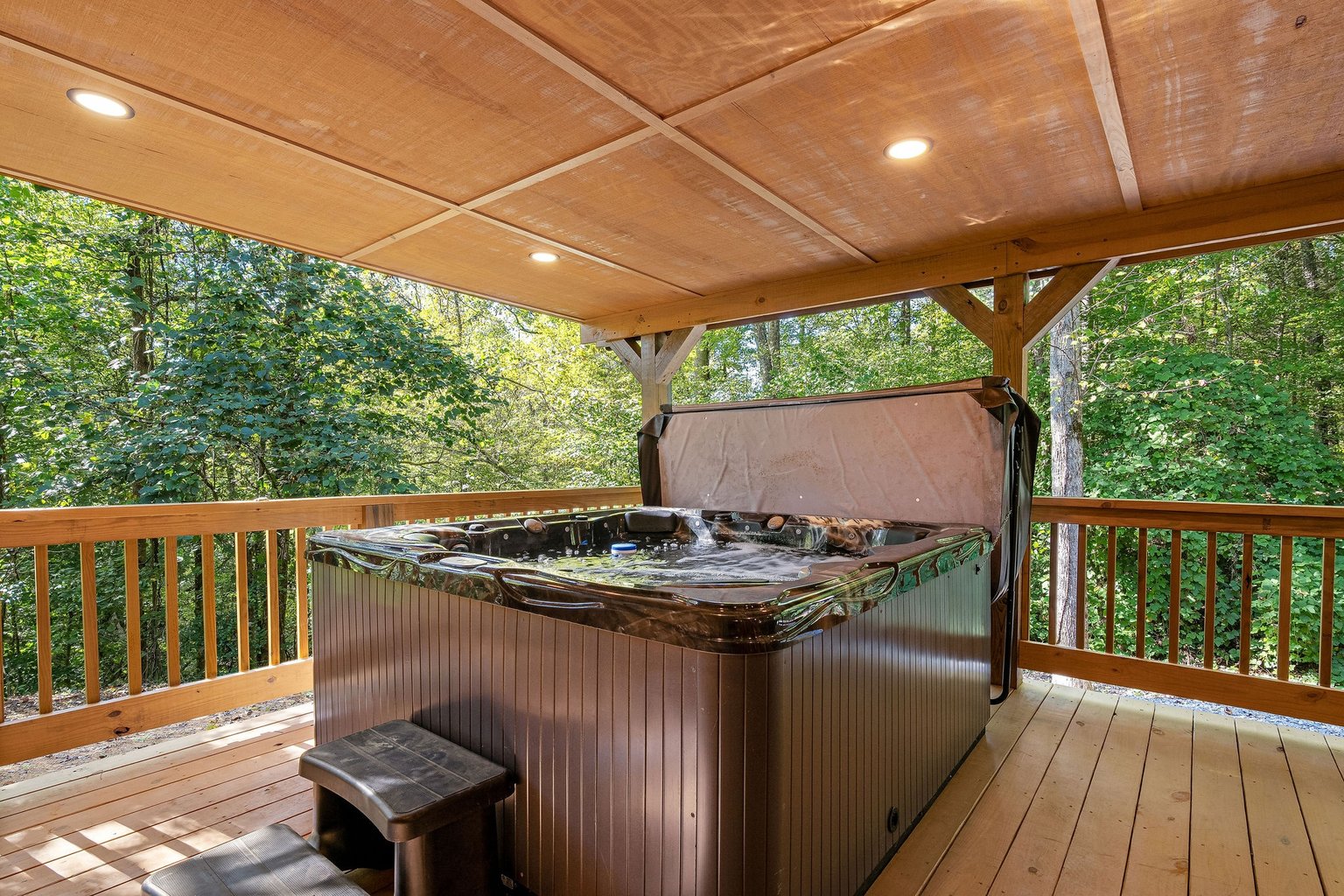 Cosby Vacation Rental