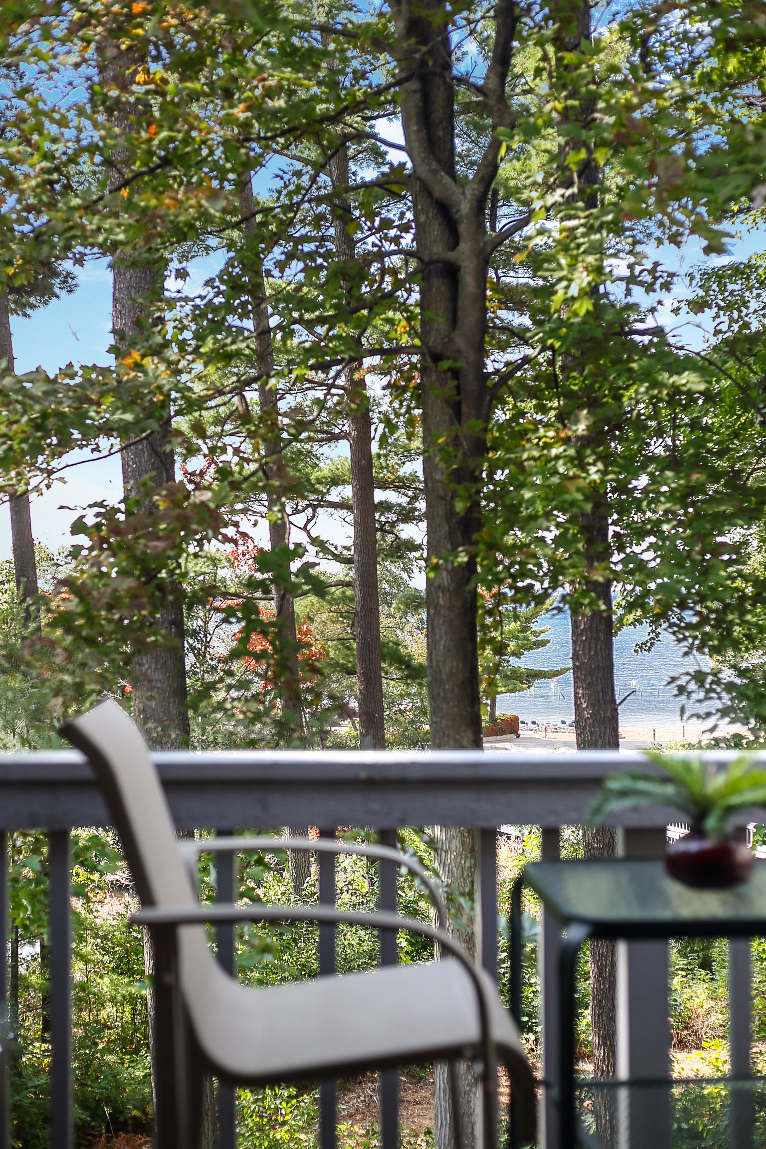 Williamsburg Vacation Rental