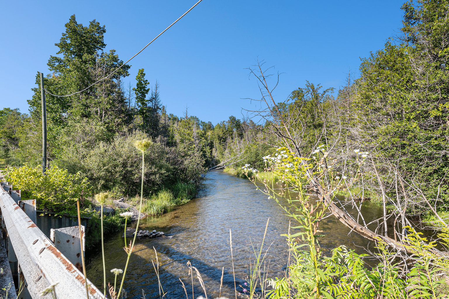 Beulah Vacation Rental