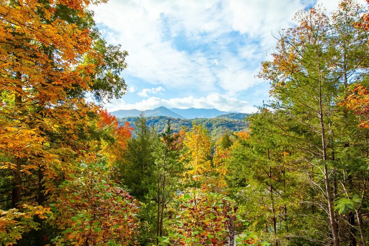 GATLINBURG Vacation Rental