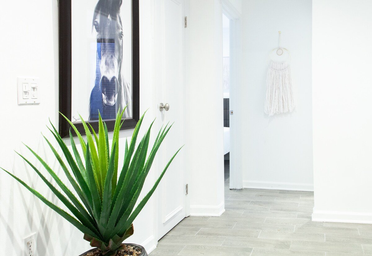 Washington DC Vacation Rental