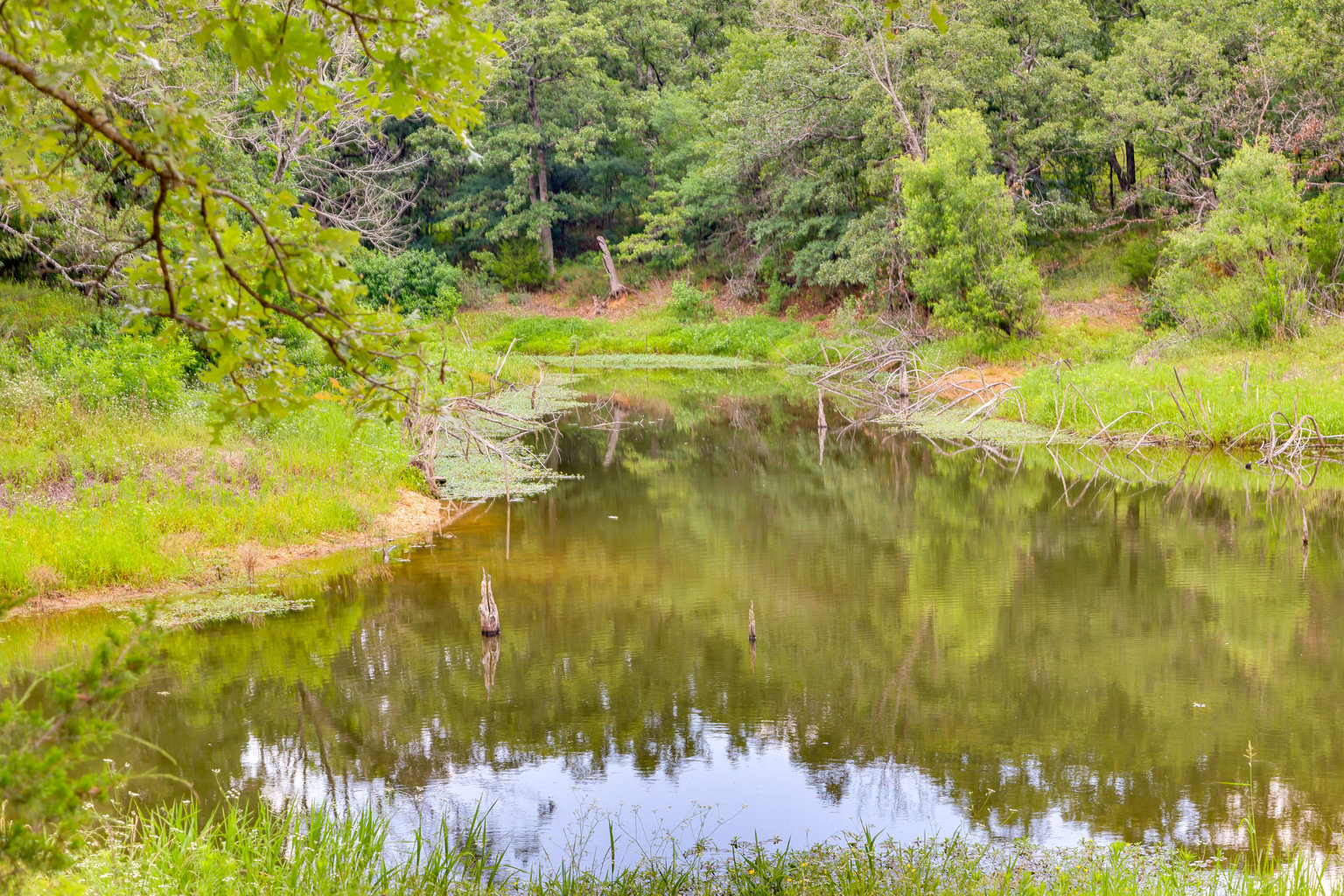 Davis Vacation Rental