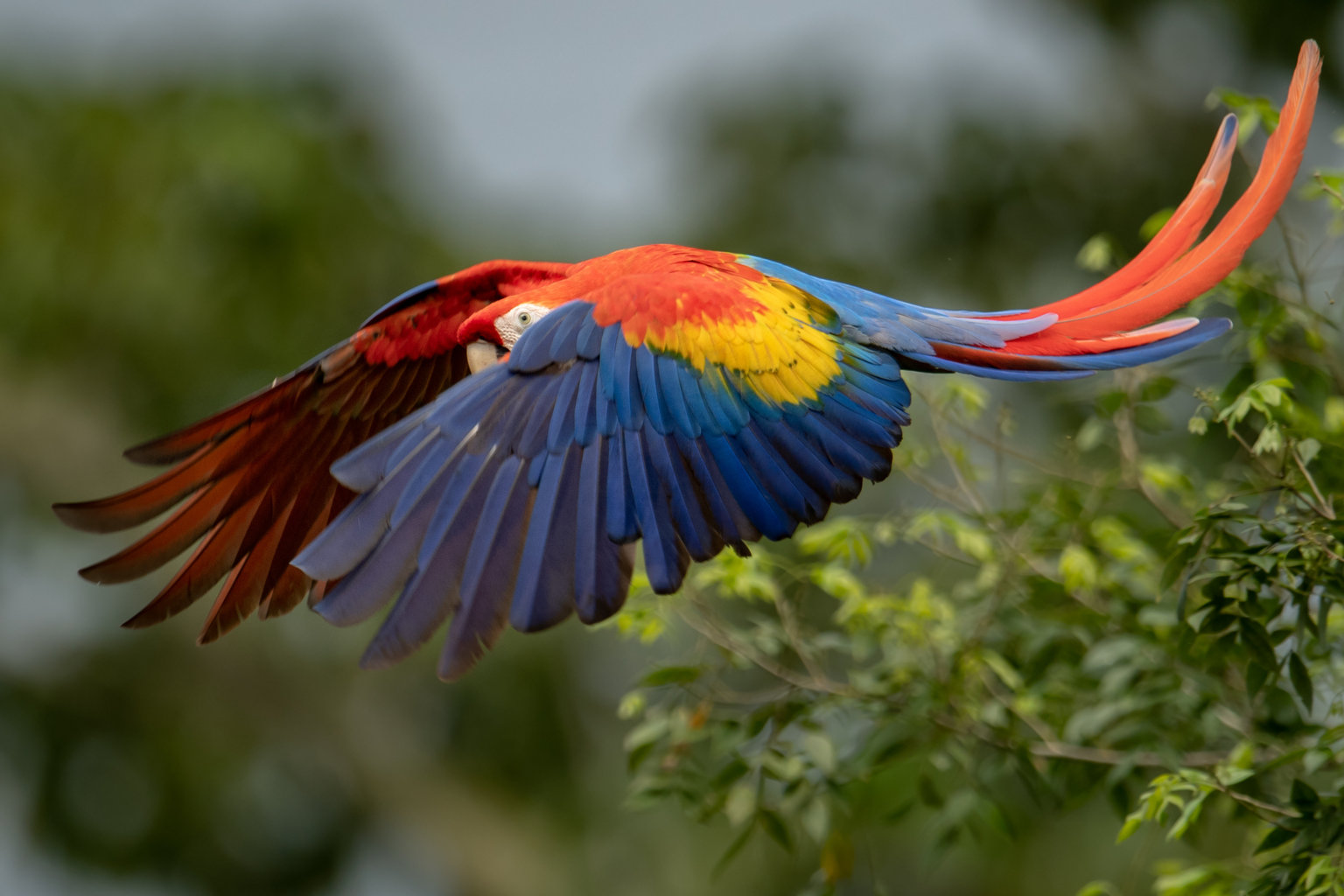 Jaco Vacation Rental