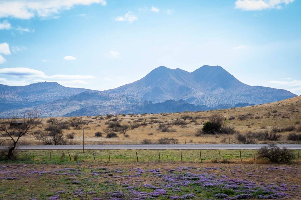 Alpine Vacation Rental