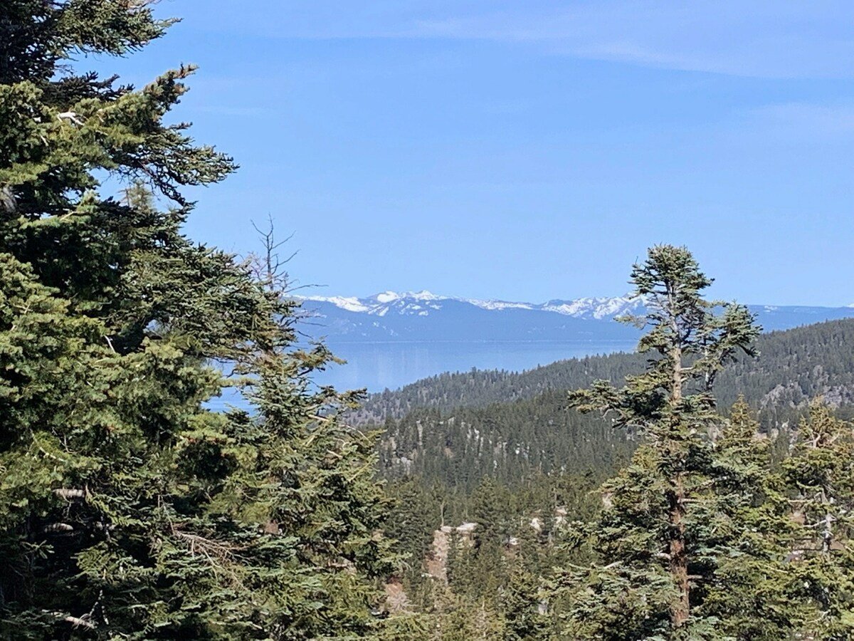 Stateline Vacation Rental