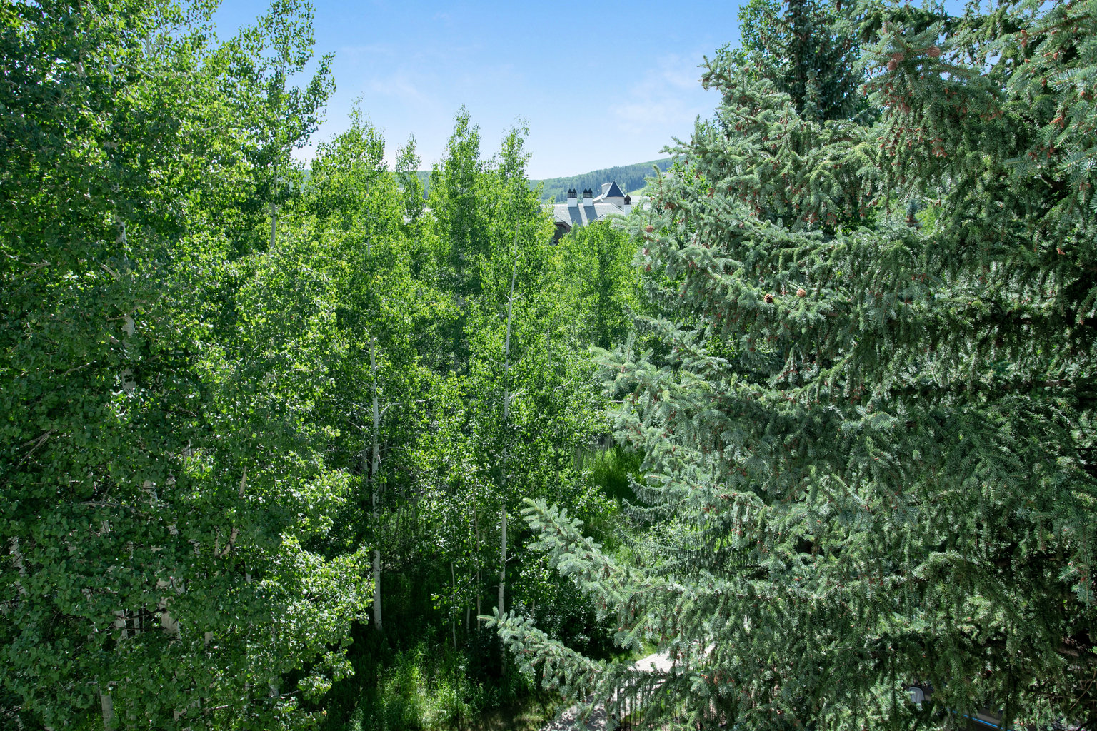 Beaver Creek Vacation Rental