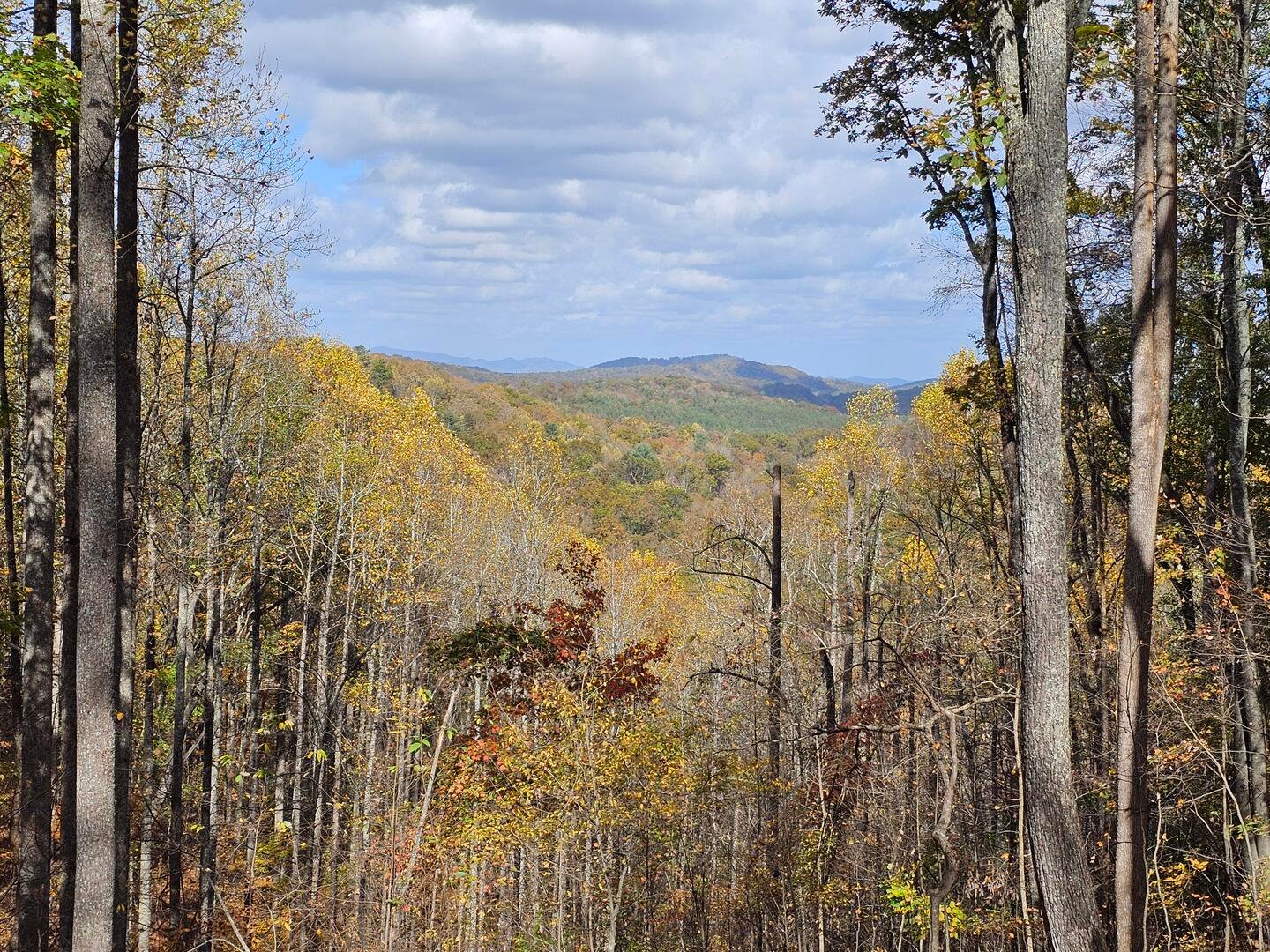 Blue Ridge Vacation Rental