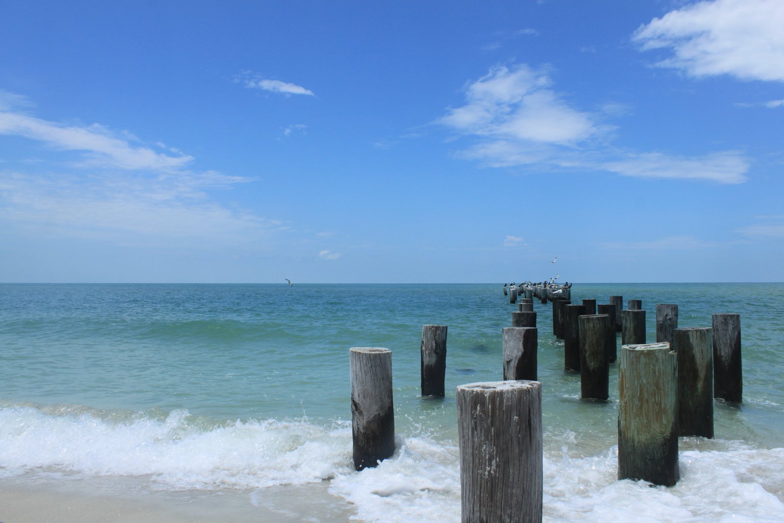 Naples Vacation Rental