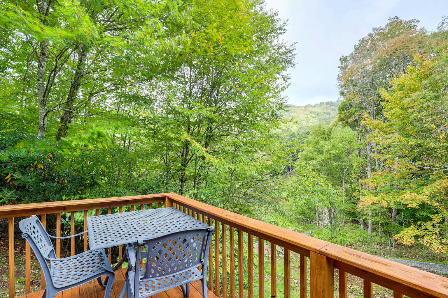Mars Hill Vacation Rental