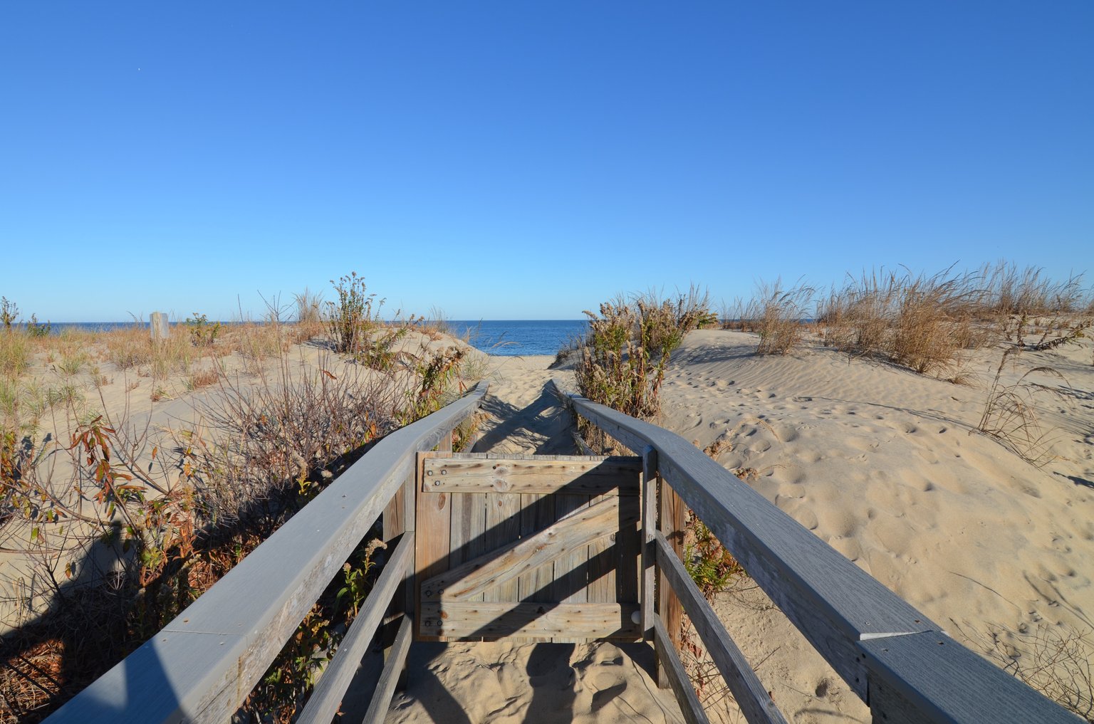 Dewey Beach Vacation Rental