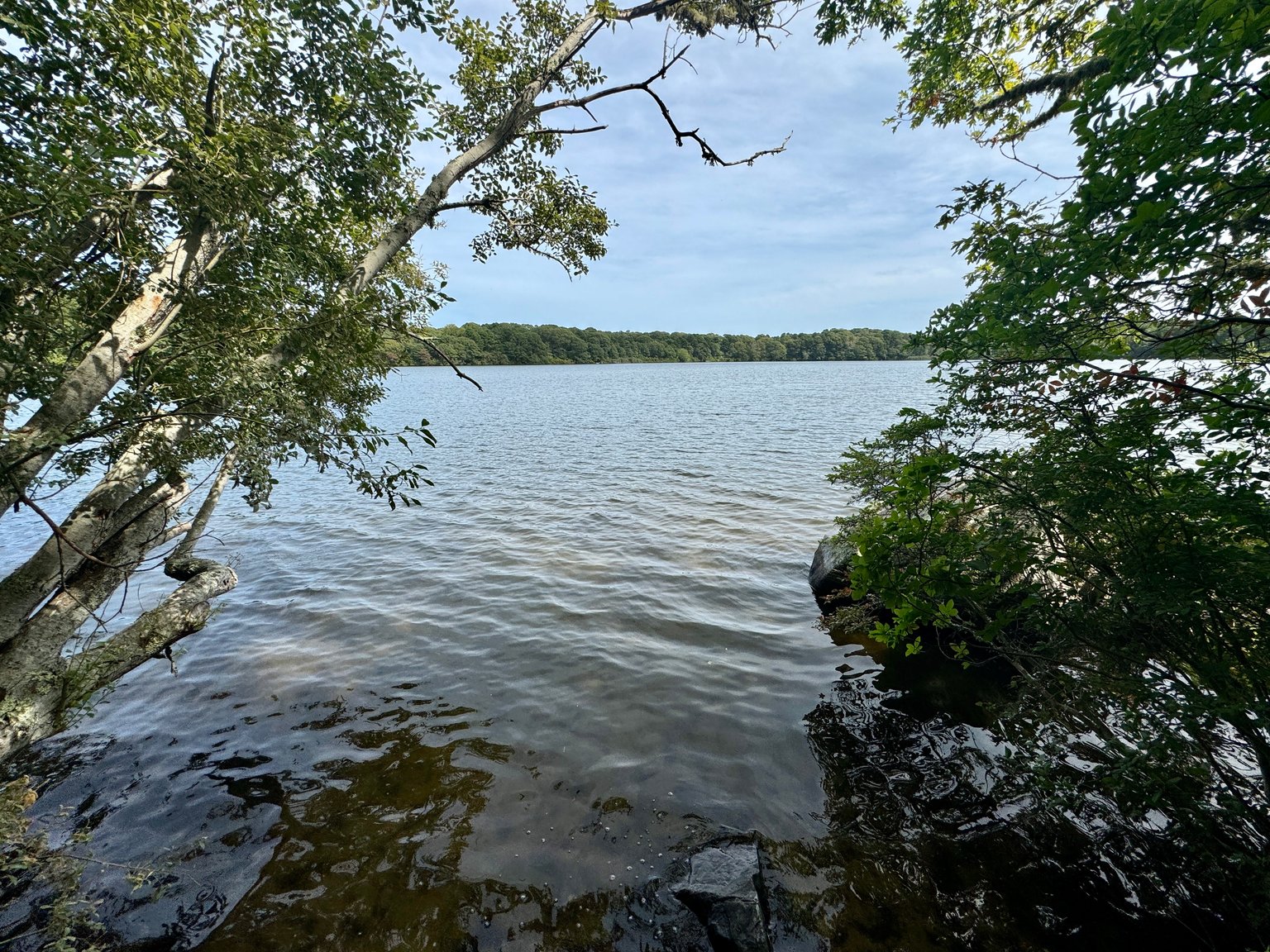 Brewster Vacation Rental