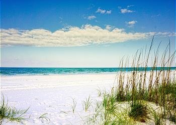St Pete Beach Vacation Rental