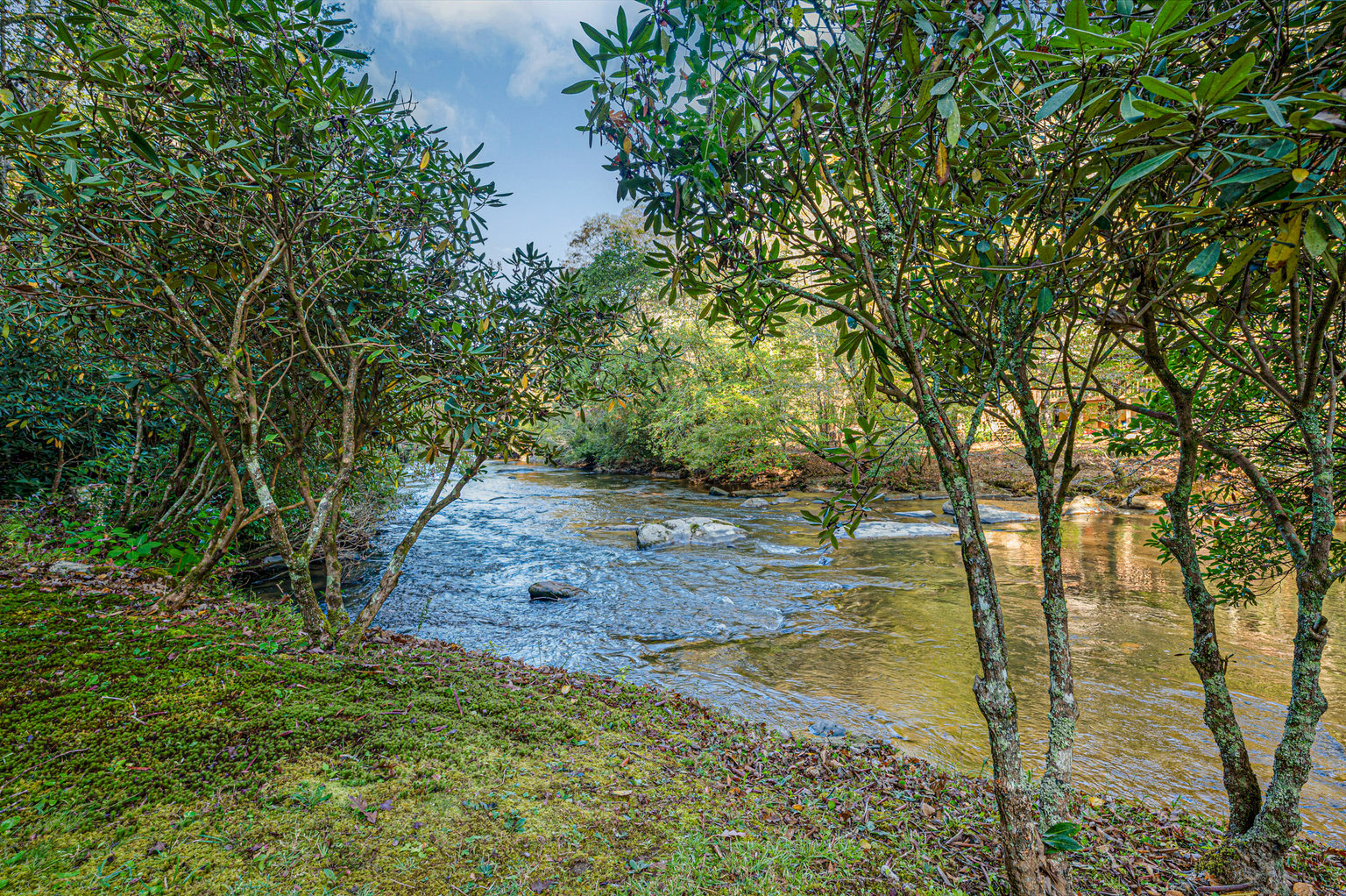 Ellijay Vacation Rental