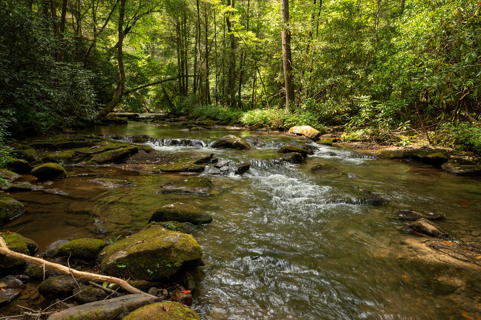 Cherry Log Vacation Rental