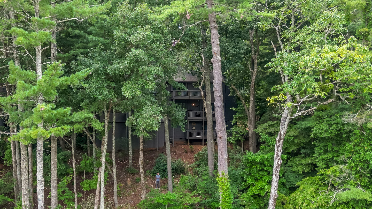 Big Canoe Vacation Rental