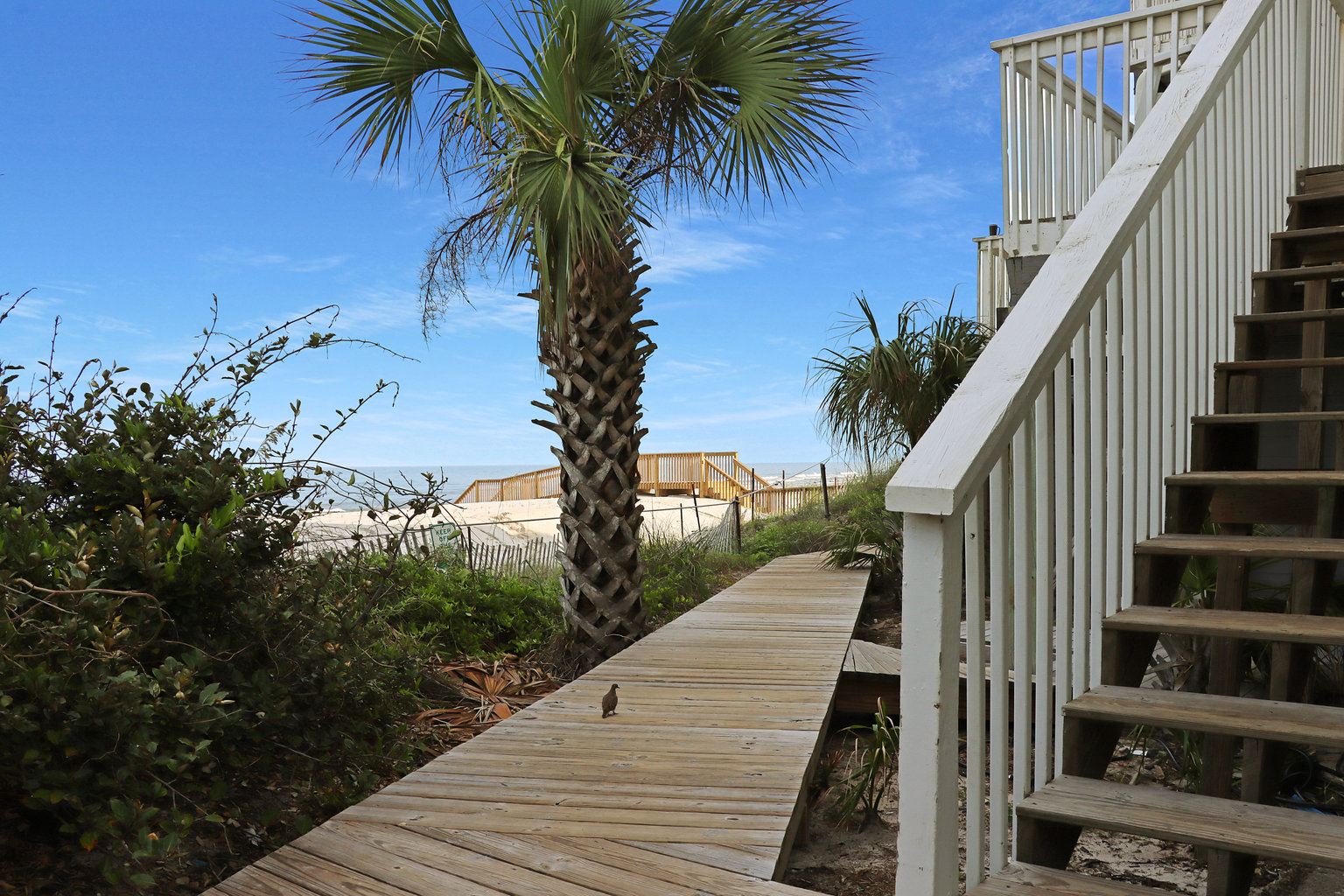 Cape San Blas Vacation Rental