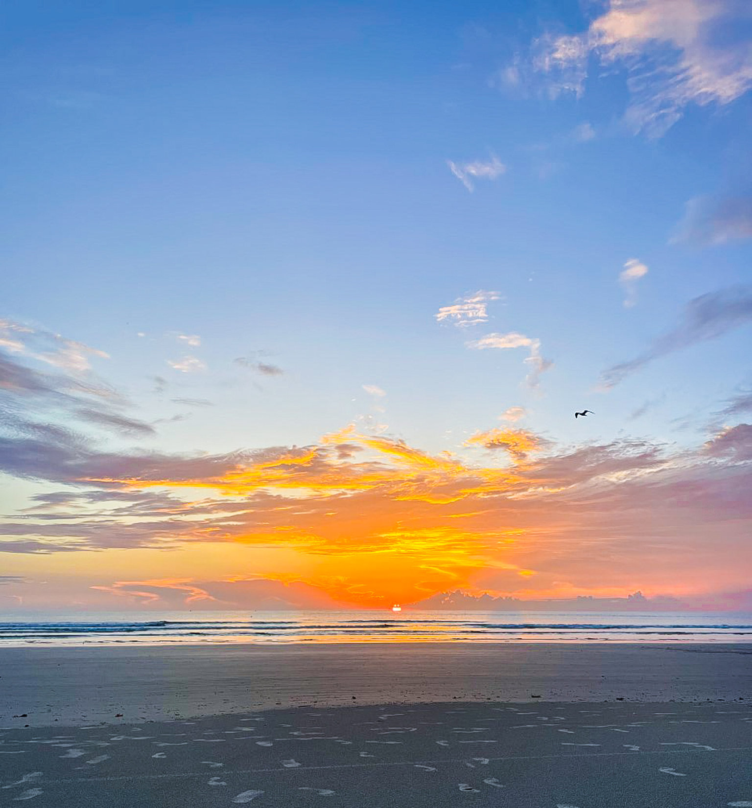New Smyrna Beach Vacation Rental