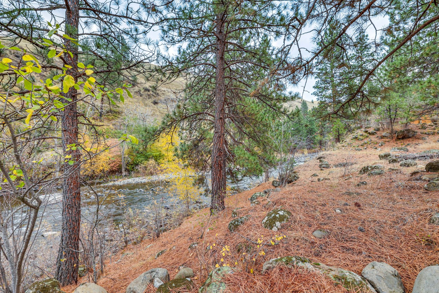 Pollock Vacation Rental