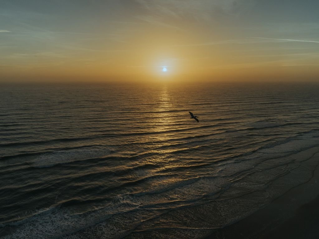 Daytona Beach Vacation Rental