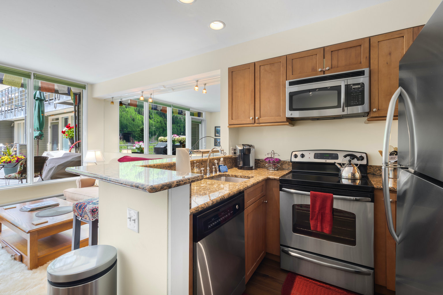 Telluride Vacation Rental