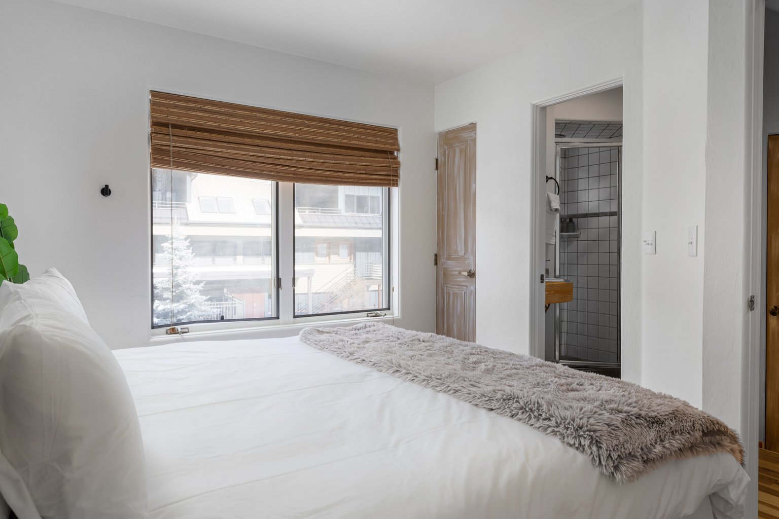 Telluride Vacation Rental