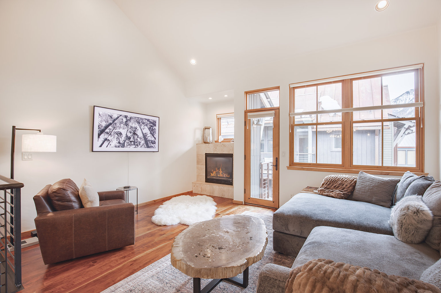 Telluride Vacation Rental