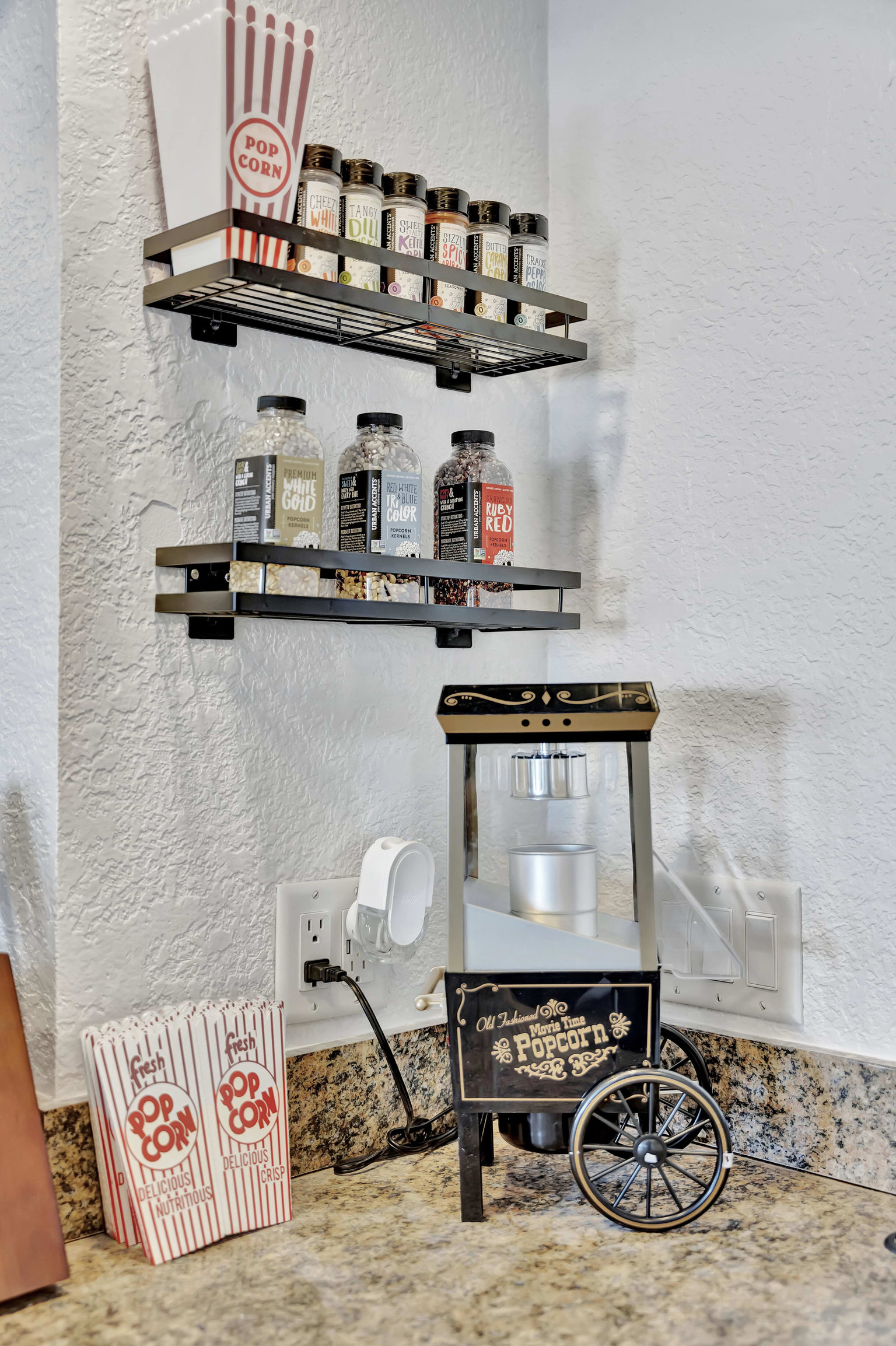 Tampa Vacation Rental