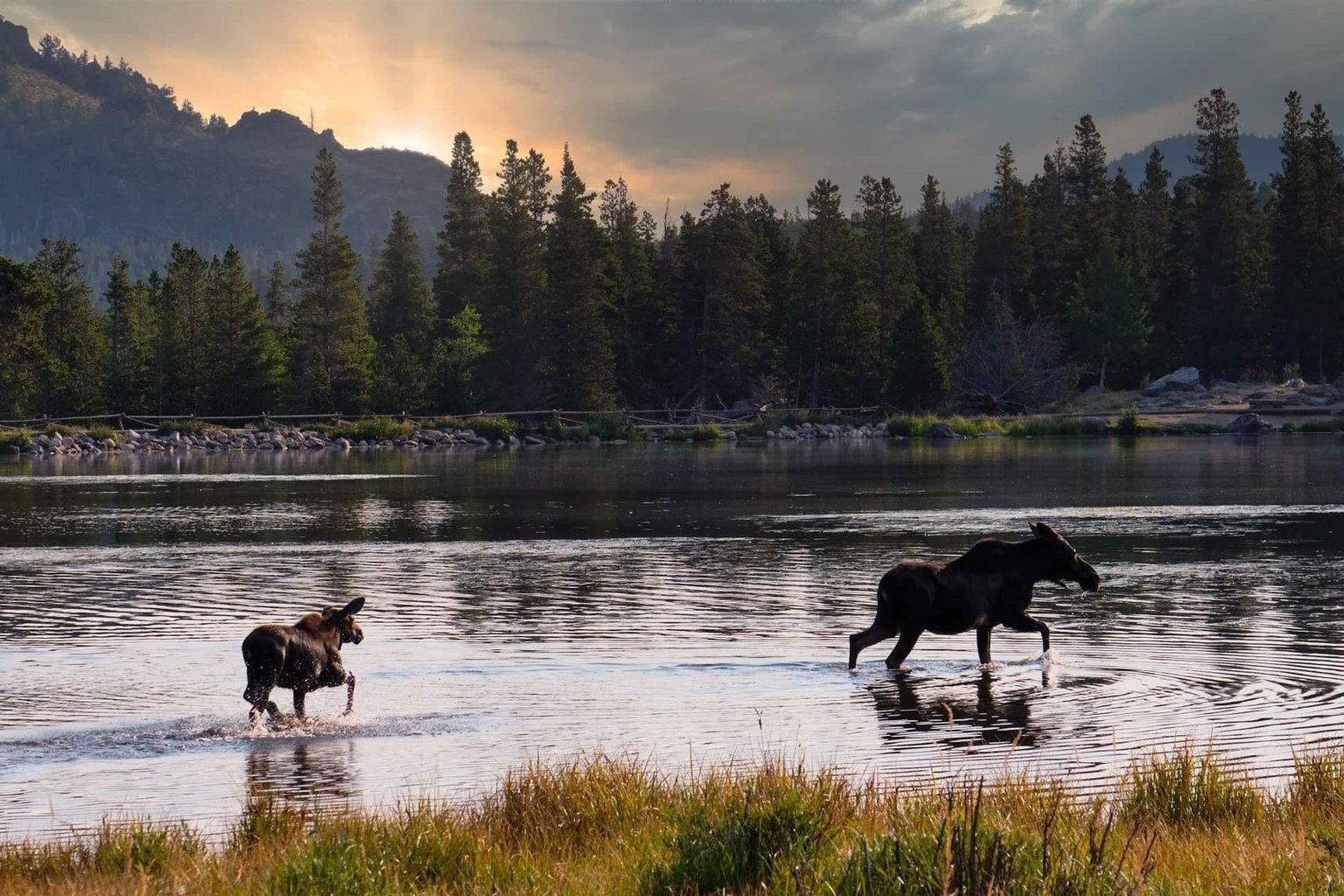 Estes Park Vacation Rental