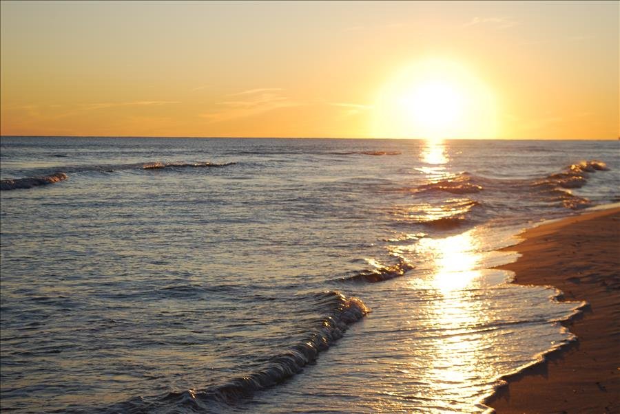 Orange Beach Vacation Rental