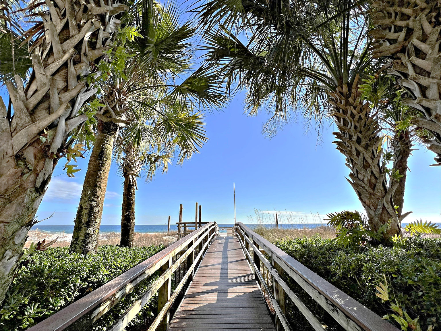 Orange Beach Vacation Rental