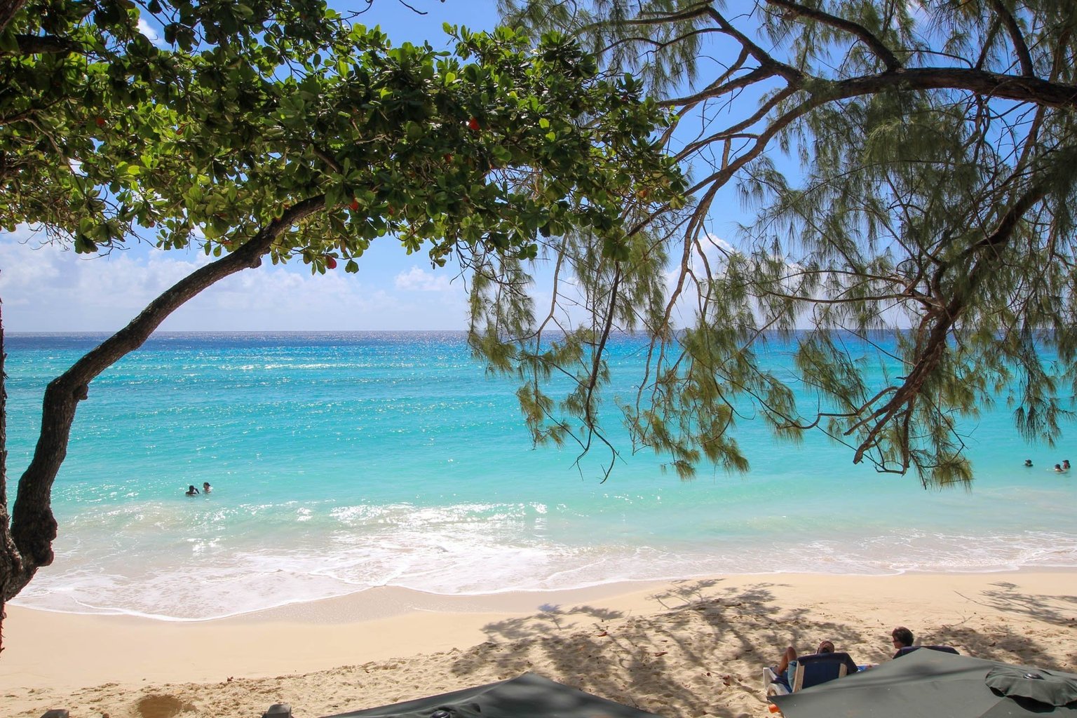 Worthing Vacation Rental