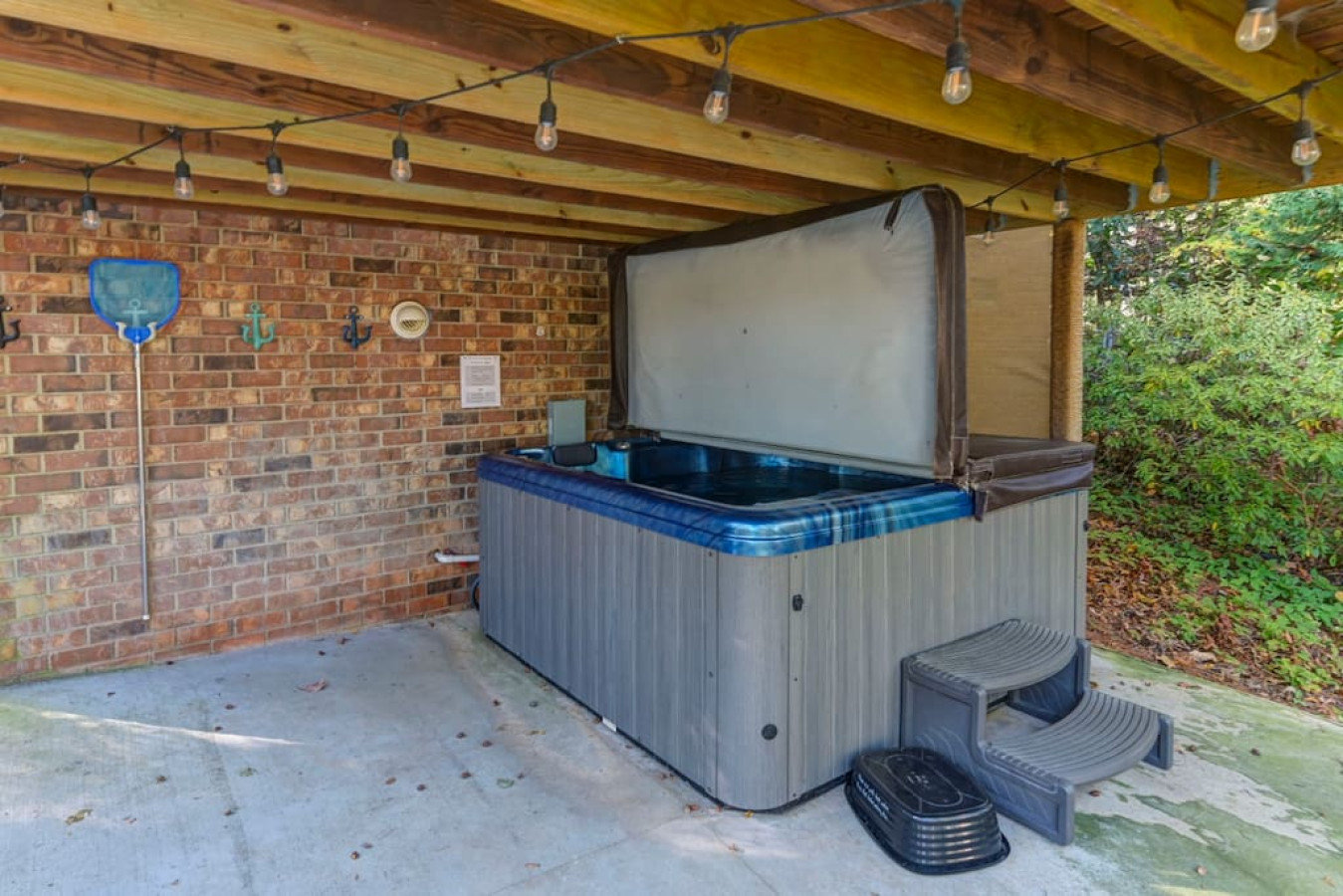 Chapin Vacation Rental