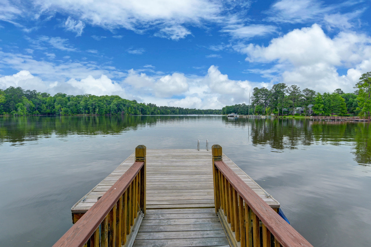 Chapin Vacation Rental