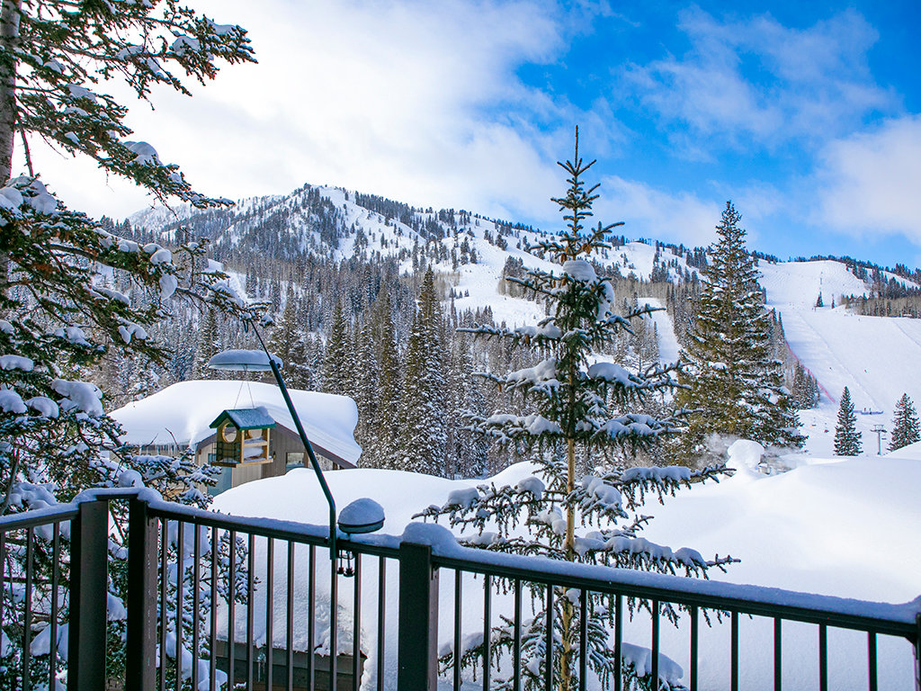 Solitude Vacation Rental