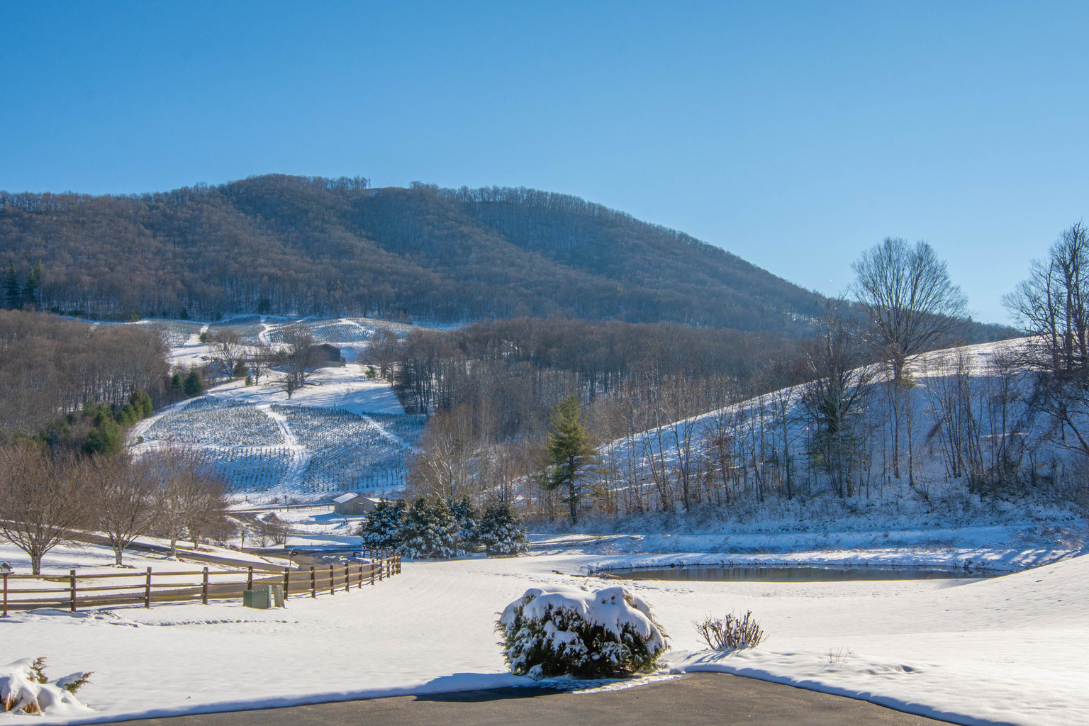 West Jefferson Vacation Rental