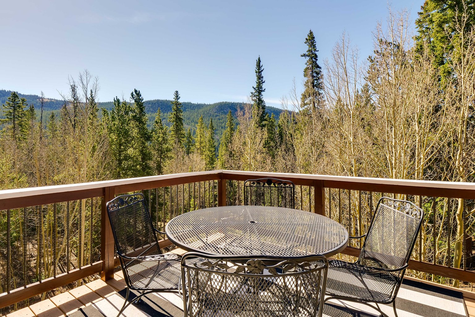 Fairplay Vacation Rental