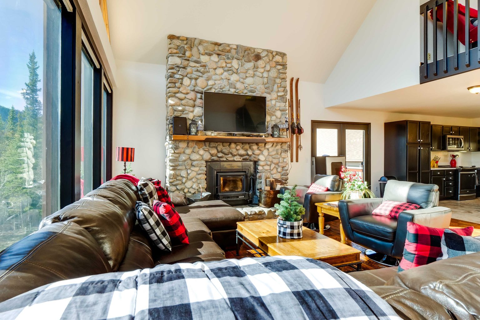 Fairplay Vacation Rental