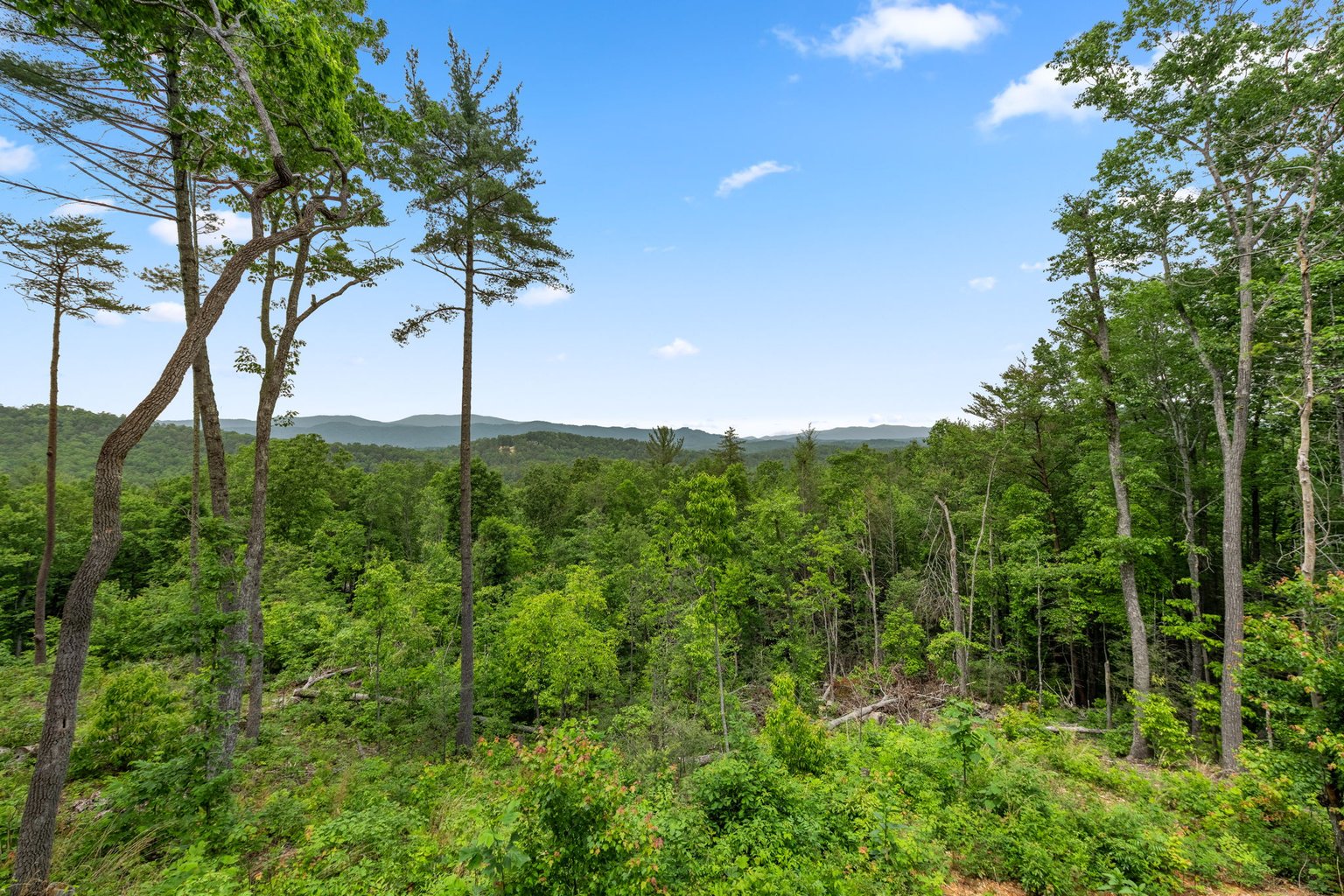 Fannin County Vacation Rental