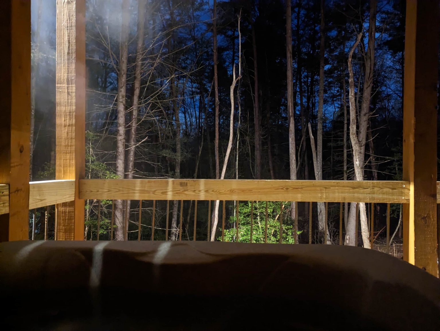 Fannin County Vacation Rental