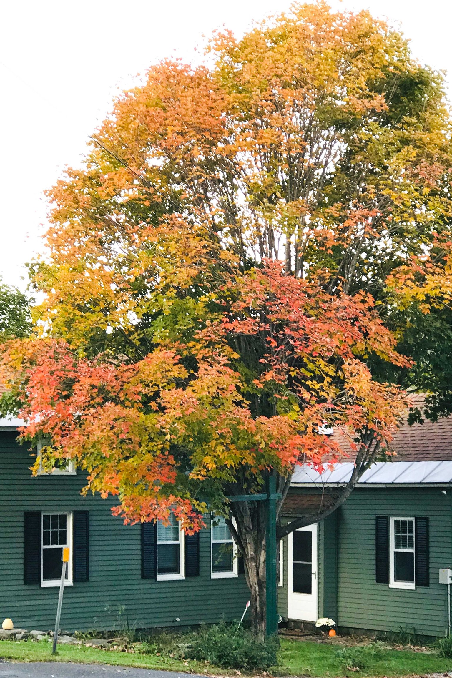 Otis Vacation Rental