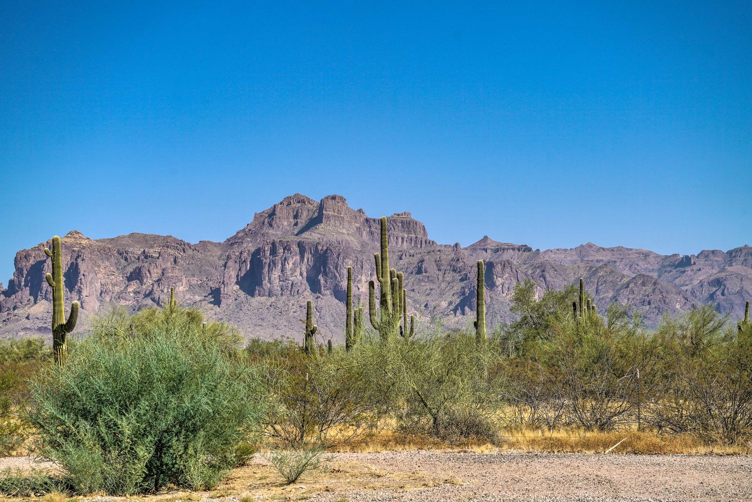 Apache Junction Vacation Rental