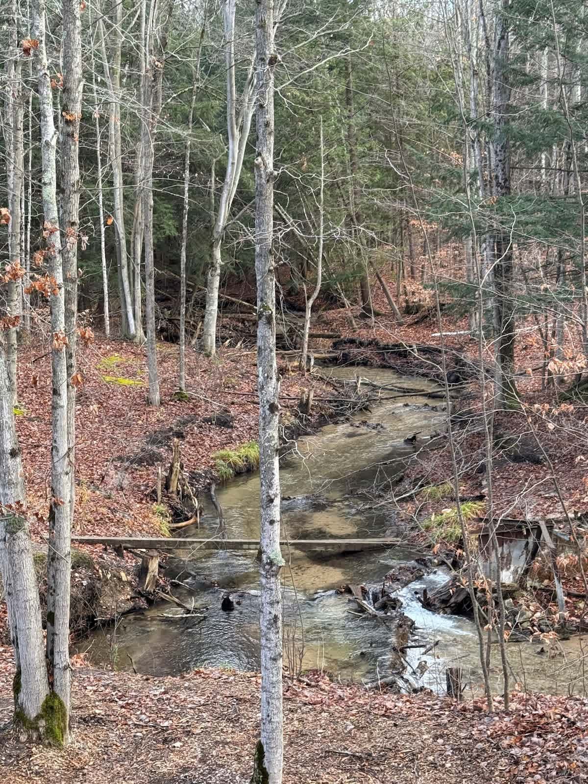 Bellaire Vacation Rental