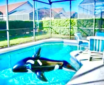 Polk County Vacation Rental