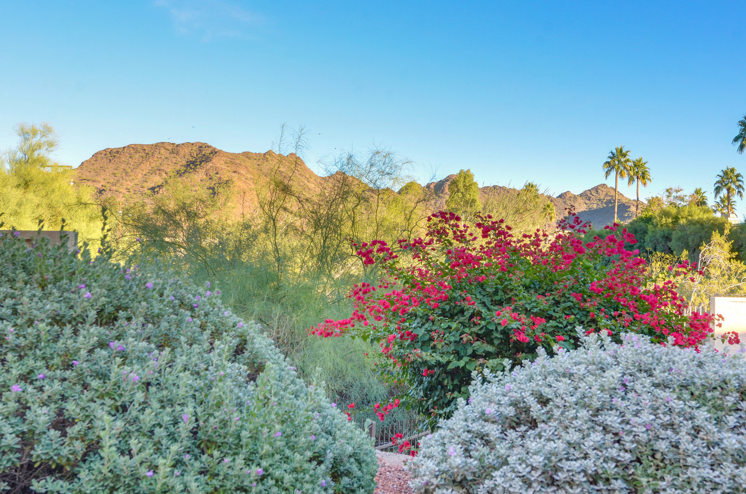 Phoenix Vacation Rental