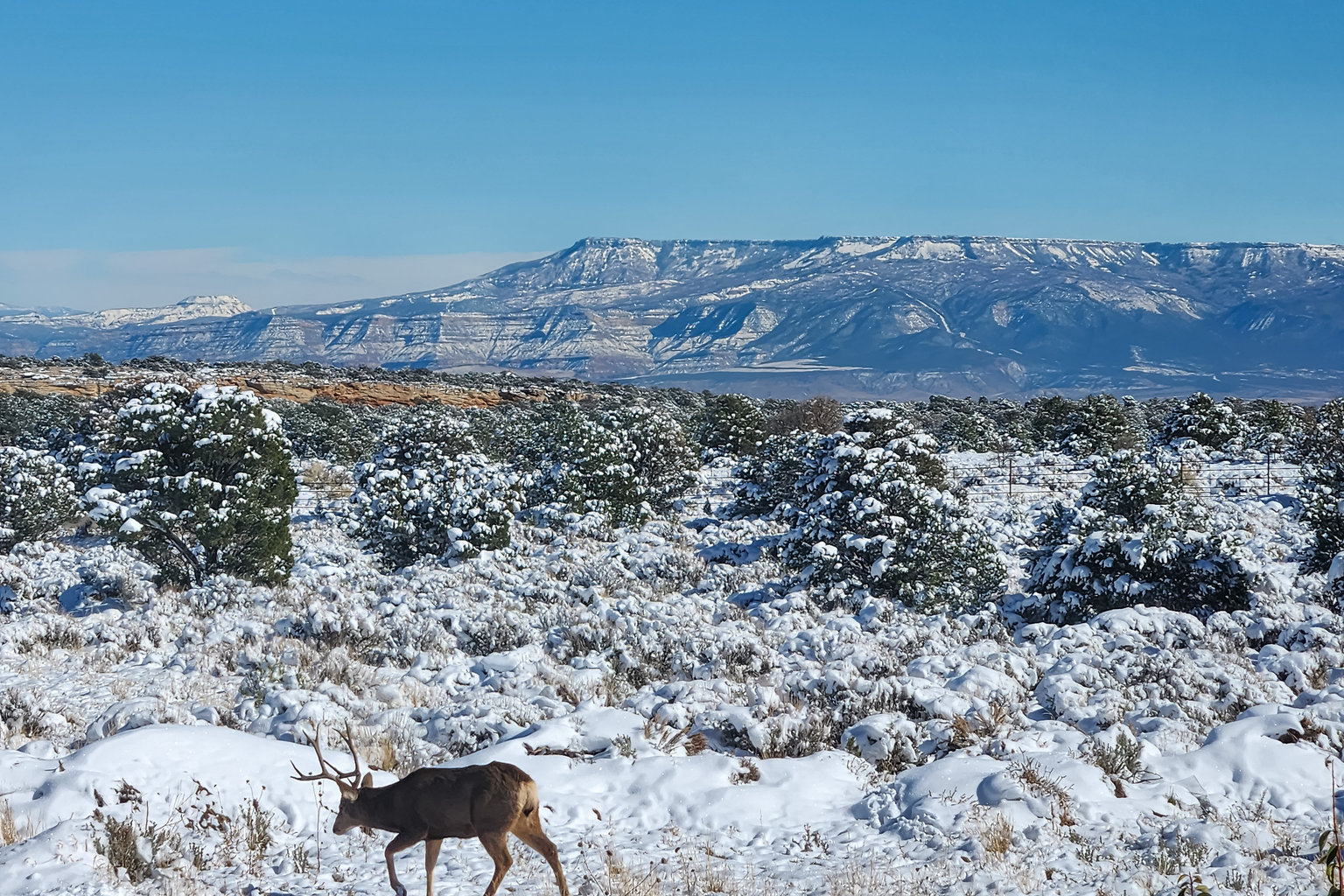 Glade Park Vacation Rental