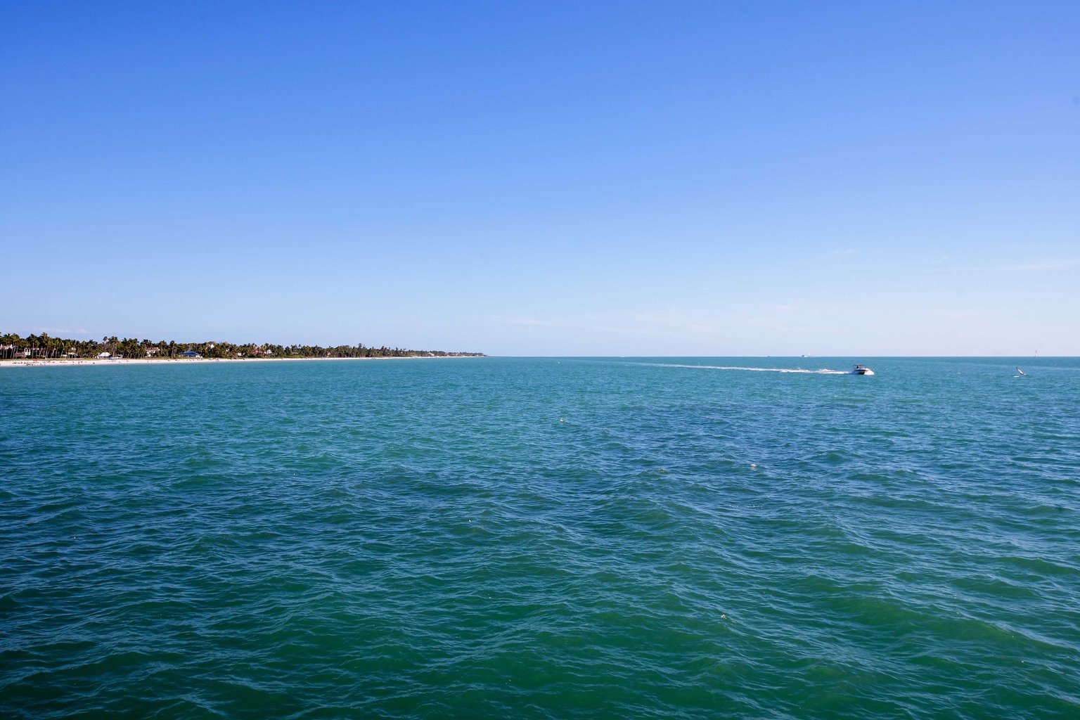 Naples Vacation Rental