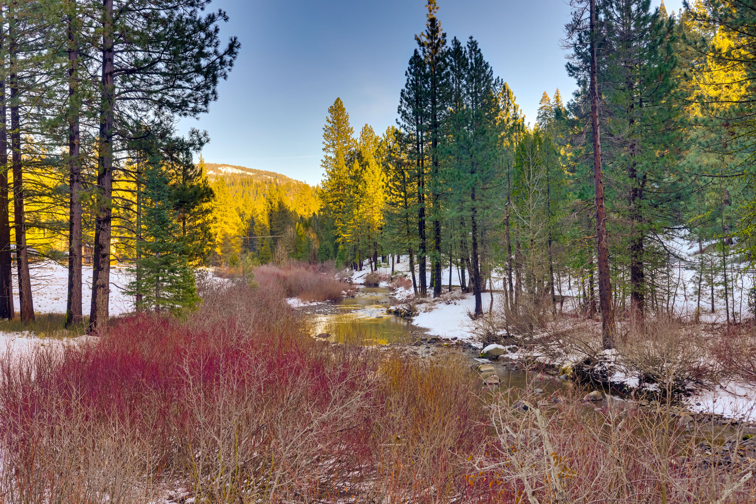 Strawberry Vacation Rental