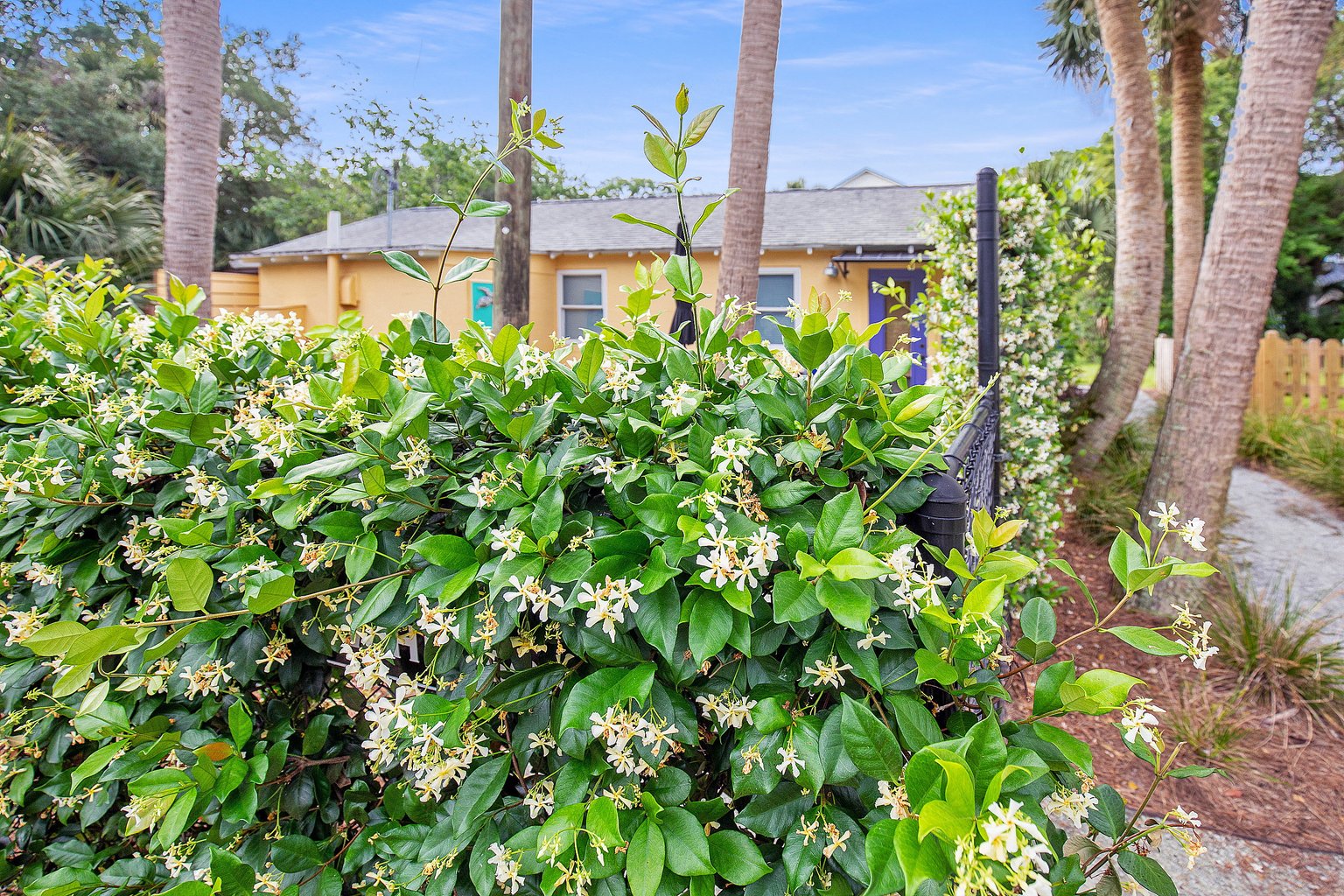 Folly Beach Vacation Rental
